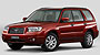 Forester heads SUV crash ratings